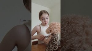 Утро со зверюшками 2 часть 〽️