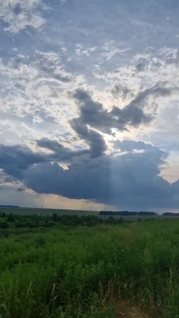 В полях Белокурихи