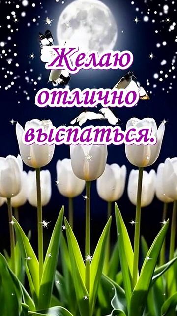 Спокойной ночи. Музыкальная открытка.