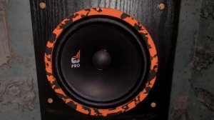 Динамики Gryphon Pro 200 Midbass