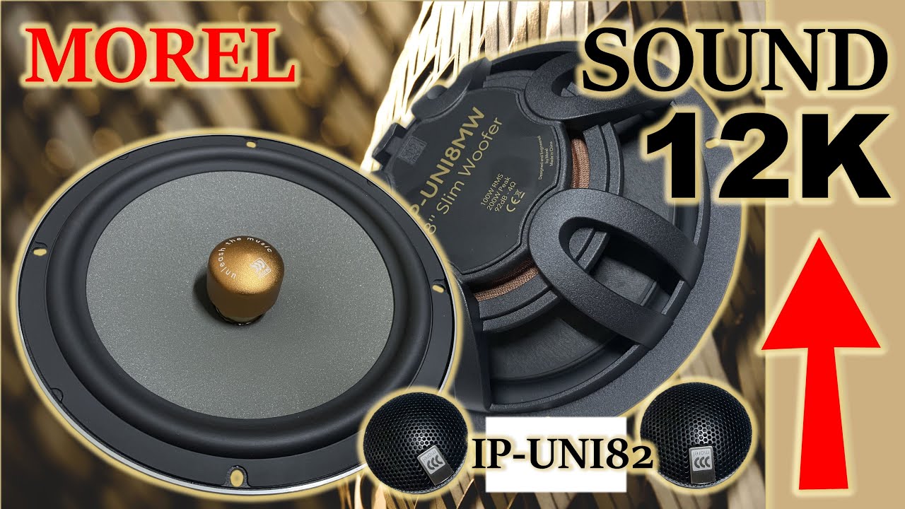 MOREL IP UNI82 ЗВУК 12К смотреть онлайн