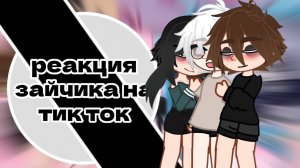 Реакция зайчика на тт (ч.о)