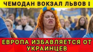 Рабочий контракт или депортация. Европа избавляется от украинцев. Аня Колобок
