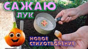 Сажаю лук, цветение садов, новое стихотворение