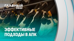 Уборка урожая и развитие животноводства: эффективные подходы в АПК Минской области. Главный эфир