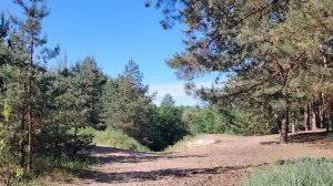 Грибоедов Александр. Немного истории