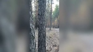 бегущие облака
