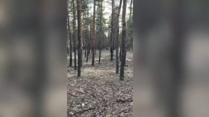 зеленое море