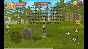 Вопрос ответ