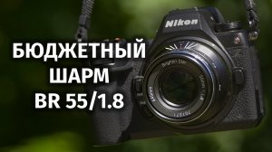 Brightin Star 55mm F1.8 Хорош для видео