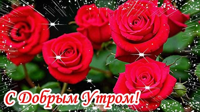 Доброе утро! Для тебя красивые розы. Музыкальная композиция.