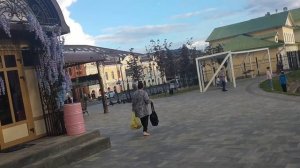 Утки и лебеди на Белом пруду. Сергиев Посад.