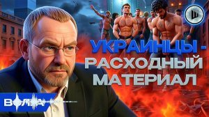 ШЕЛЕС / ВОЛГА: Зачем Украине Крым?  Украина входит во тьму. Крымчан НА Украине ОЖИДАЕТ ТЕРРОР.