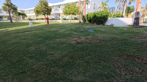 Novotel Beach Sharm El Sheikh 5* октябрь 2025 год