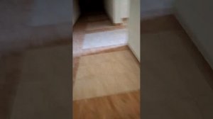 28-06-2026