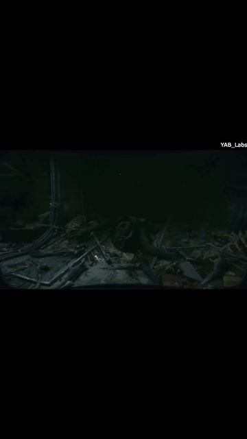 METRO Exodus карта и радиация