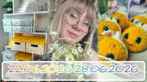 Вязальный дневник 22.06.2026-27.06.2026: сборы на полочку, новый шкаф и небольшие покупки 👛