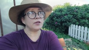 Огородный влог. Прячу всё от проливных дождей / Засыпали дорожки щебнем