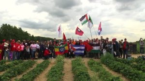 Интернациональный сбор клубники в Cовхозе им.Ленина