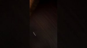 Захлопнулась дверь в ванне