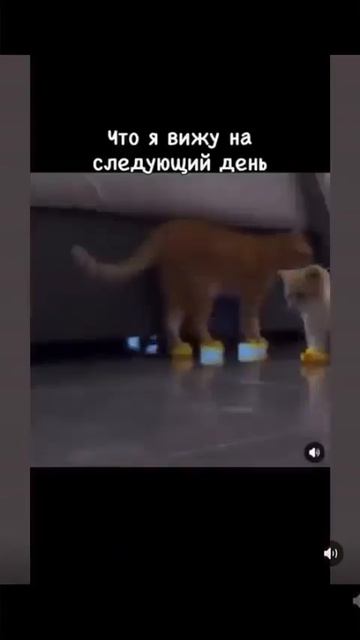 😂😂😂😂 смотреть онлайн