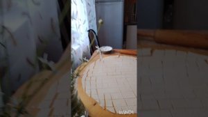 1000102659.mp4