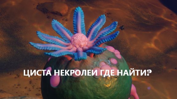 Subnautica 2 циста некролеи где найти