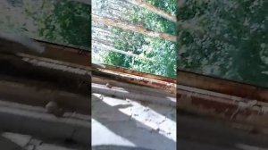 осматриваю заброшенные здания бывший детский лагерь в лесу