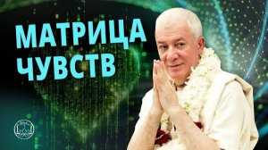 Как Выйти из Матрицы Чувств? Контроль Ума - Твой Путь к Свободе и Силе. Александр Хакимов