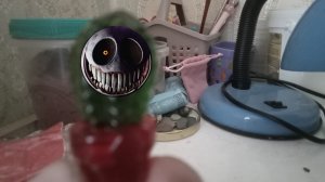 прототип король кактусов чуриз🤣🌵🌵