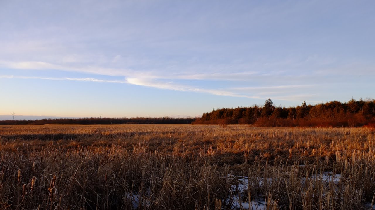 Fujifilm X10 Video Test смотреть онлайн