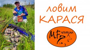 Ловим карася