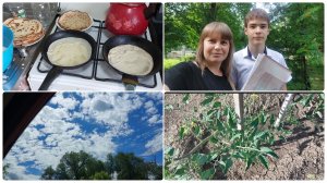 Получен первый документ об образовании 🎉 Что с поступлением / Соседи в шоке / Болталка