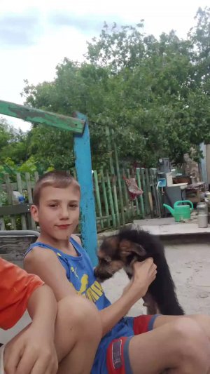играю с сабакой