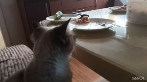 эх рыбка была вкусная