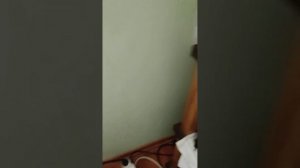 На динамике 100гдн-3 задевает катушка
