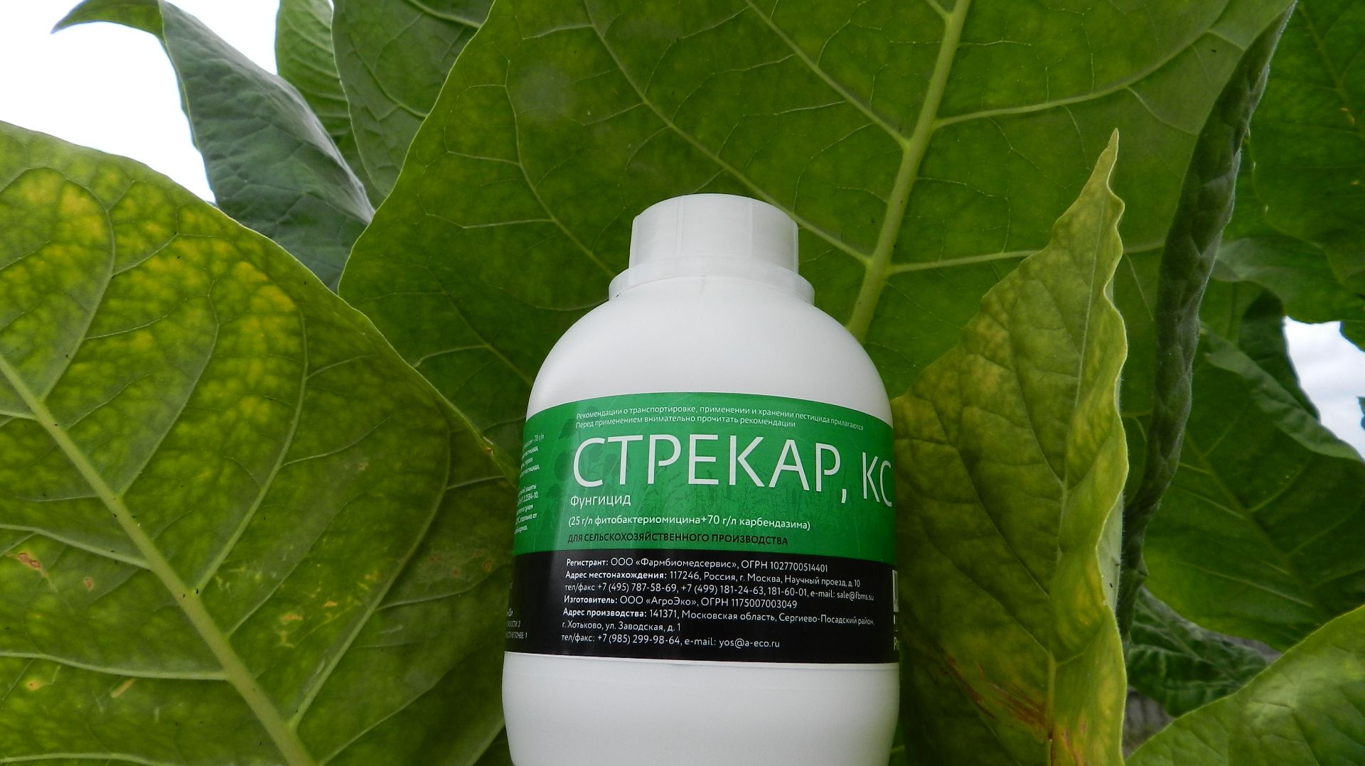 Стрекар КС от бронзовости табака не помог смотреть онлайн