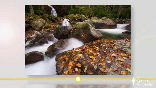 Tgc 7941 Lect02 Natgeolandscapewildlifephoto