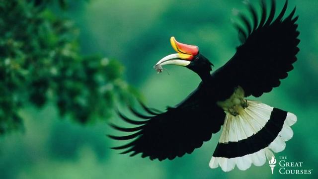 Tgc 7941 Lect13 Natgeolandscapewildlifephoto