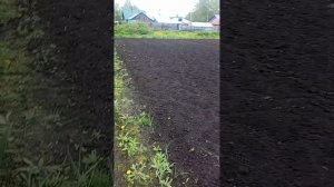 Поехали в деревню.   в мае