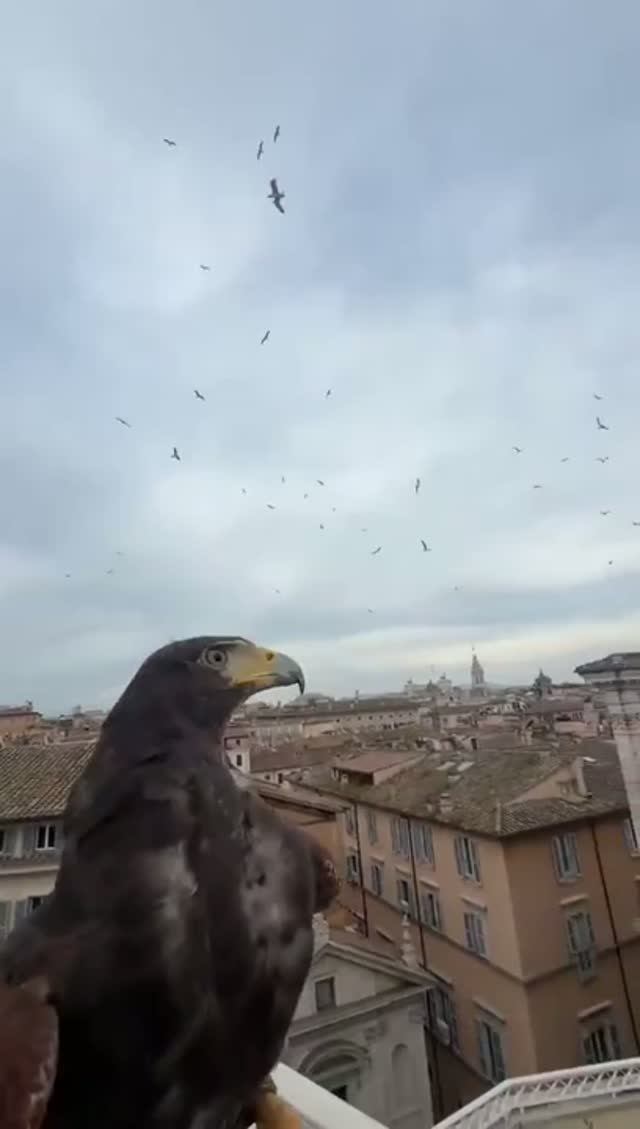 Что такое?!