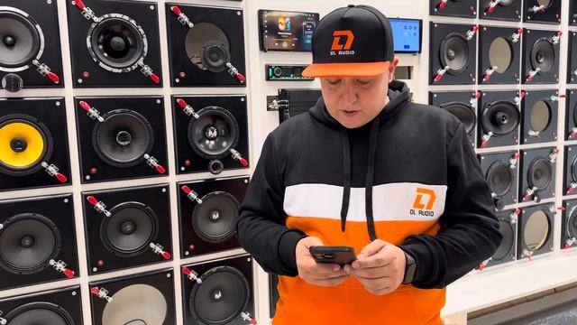 SQ от DL Audio Anaconda 165 Coax