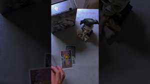 Таро. Гадание на картах