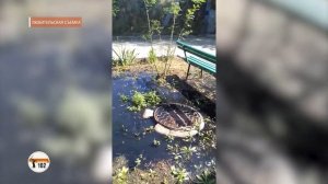 Оно течет повсюду: в Волгограде жилой дом захлебнулся в канализации