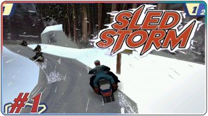 🔴Sled Storm Прохождение 1 (28.06.2026)