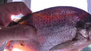 СУХОЙ ПОСОЛ РЫБЫ: Простой рецепт сочной домашней рыбки 🐠