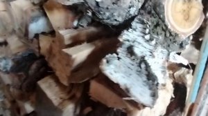 Почём дровишки? Готовимся к зиме.