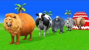 Мультики для детей .Детские мультики.Яркие мультики