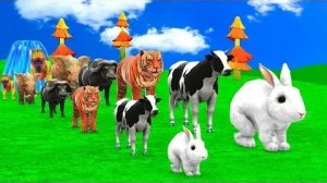 Мультики для детей .Детские мультики.Яркие мультики