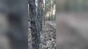 игра теней